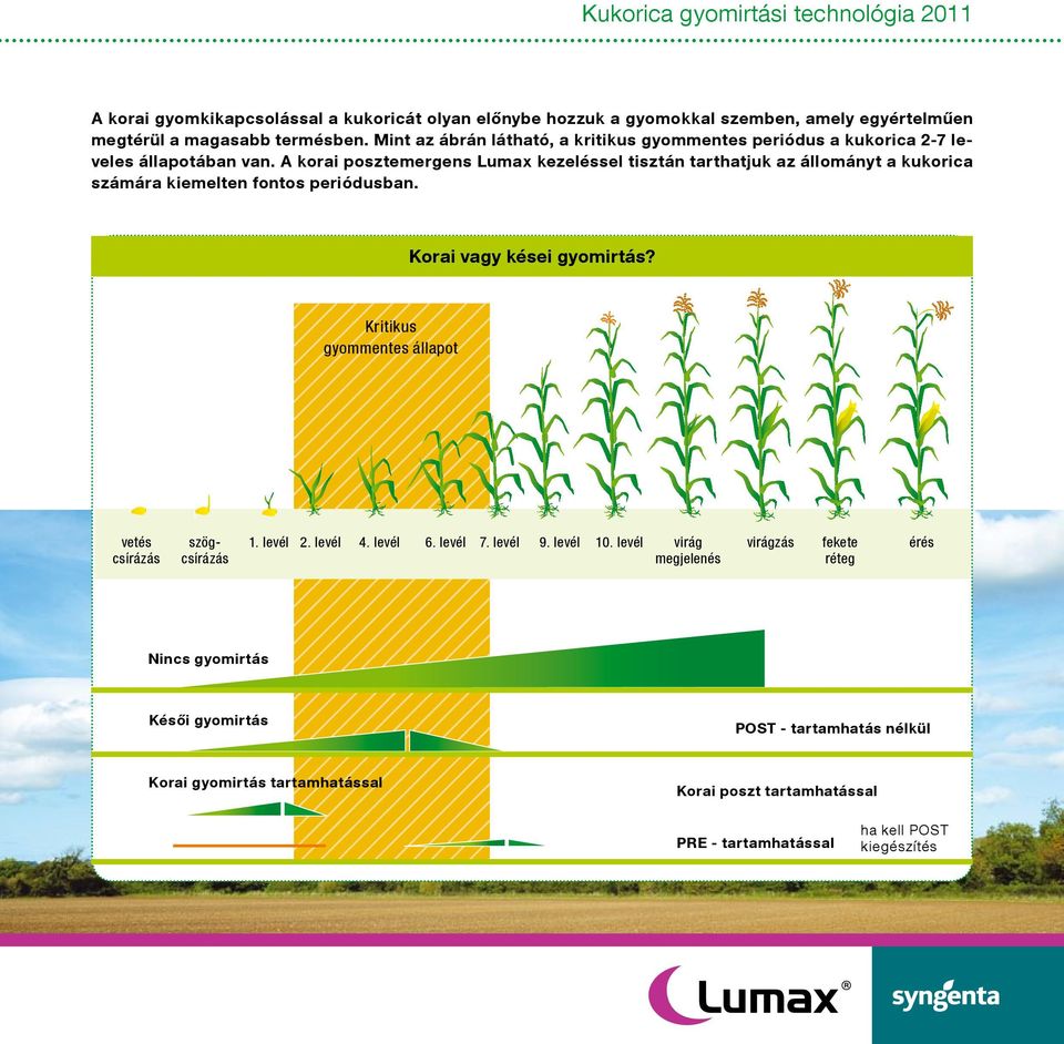 A korai posztemergens Lumax kezeléssel tisztán tarthatjuk az állományt a kukorica számára kiemelten fontos periódusban. Korai vagy kései gyomirtás?