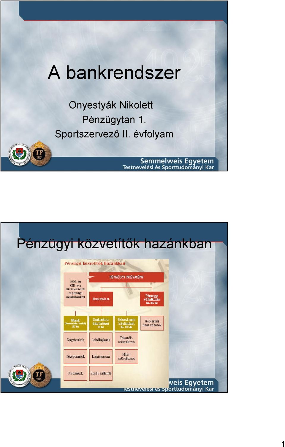 Sportszervezı II.