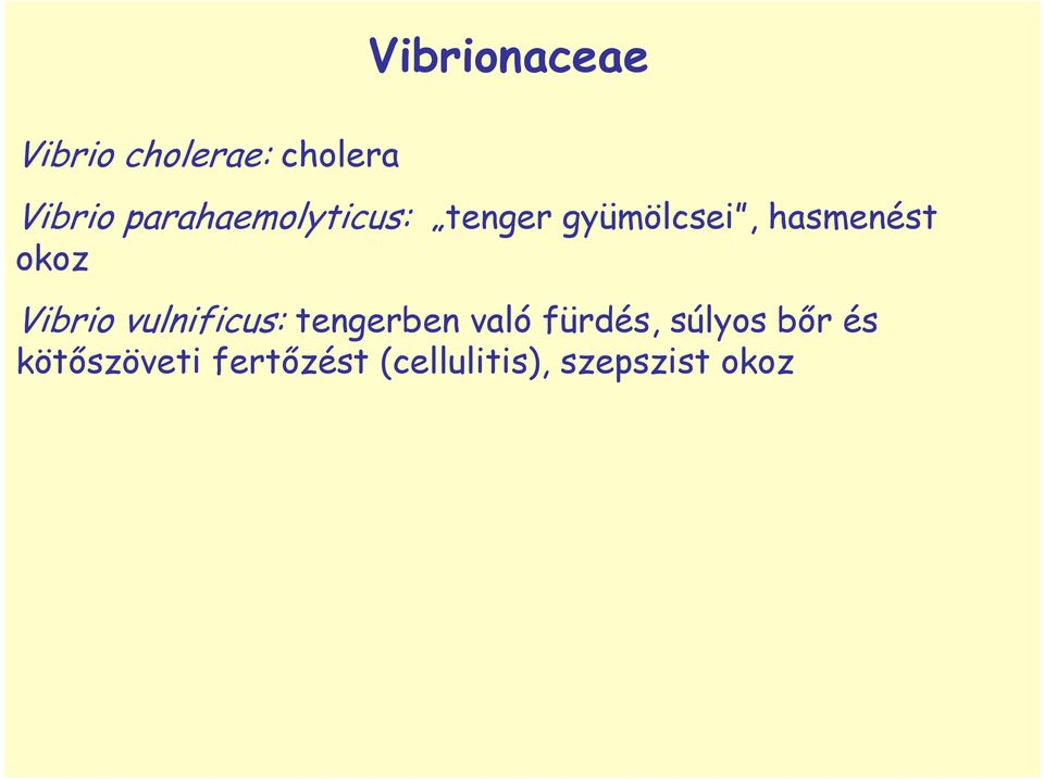 okoz Vibrio vulnificus: tengerben való fürdés,