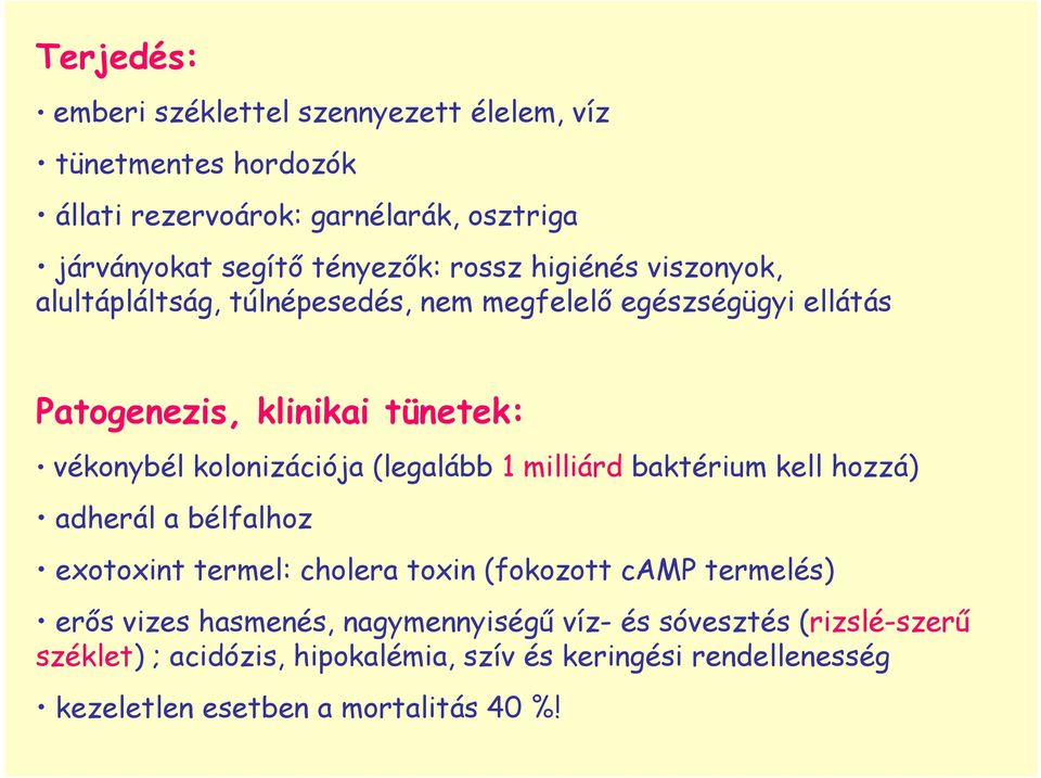 (legalább 1 milliárd baktérium kell hozzá) adherál a bélfalhoz exotoxint termel: cholera toxin (fokozott camp termelés) erıs vizes hasmenés,