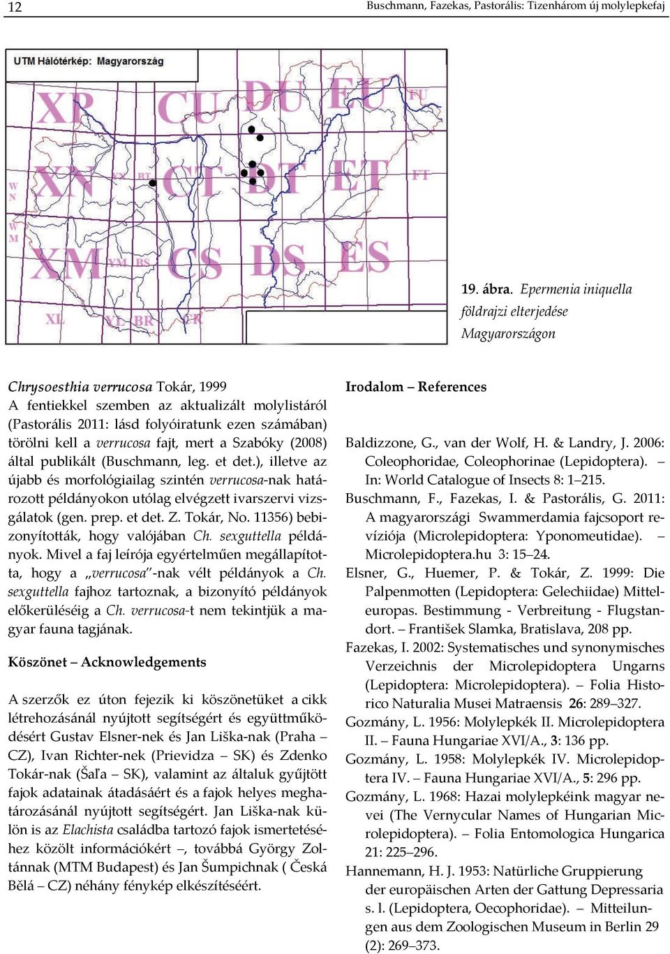 kell a verrucosa fajt, mert a Szabóky (2008) által publikált (Buschmann, leg. et det.