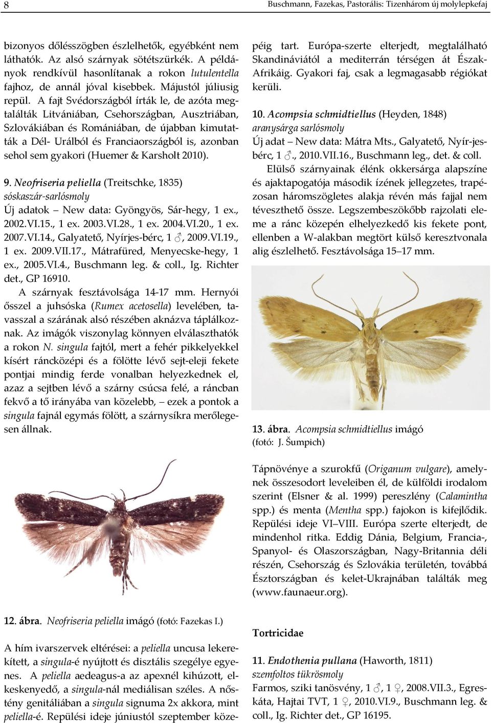 A fajt Svédországból írták le, de azóta megtalálták Litvániában, Csehországban, Ausztriában, Szlovákiában és Romániában, de újabban kimutatták a Dél Urálból és Franciaországból is, azonban sehol sem
