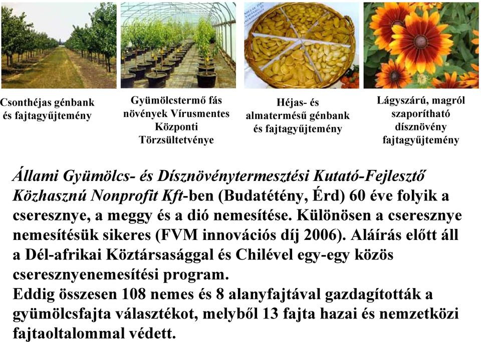 a meggy és a dió nemesítése. Különösen a cseresznye nemesítésük sikeres (FVM innovációs díj 2006).