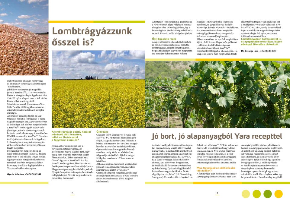 Régóta ismert ugyanis, hogy a télállóságot alapvetően meghatározza a növény kálium szintje. Kálium túlsúlyos lombtrágyával ez jelentősen növelhető, és így javítható az áttelelés biztonsága.