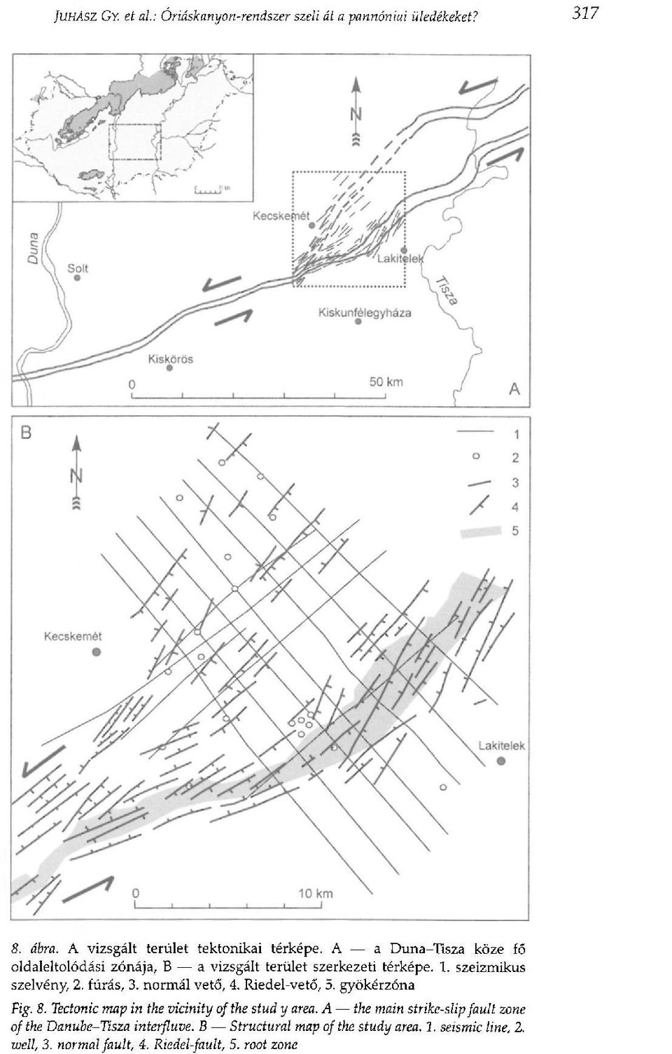 normál vető, 4. Riedel-vető, 5. gyökérzóna Fig. 8. Tectonic map in the vicinity of the stud y area.