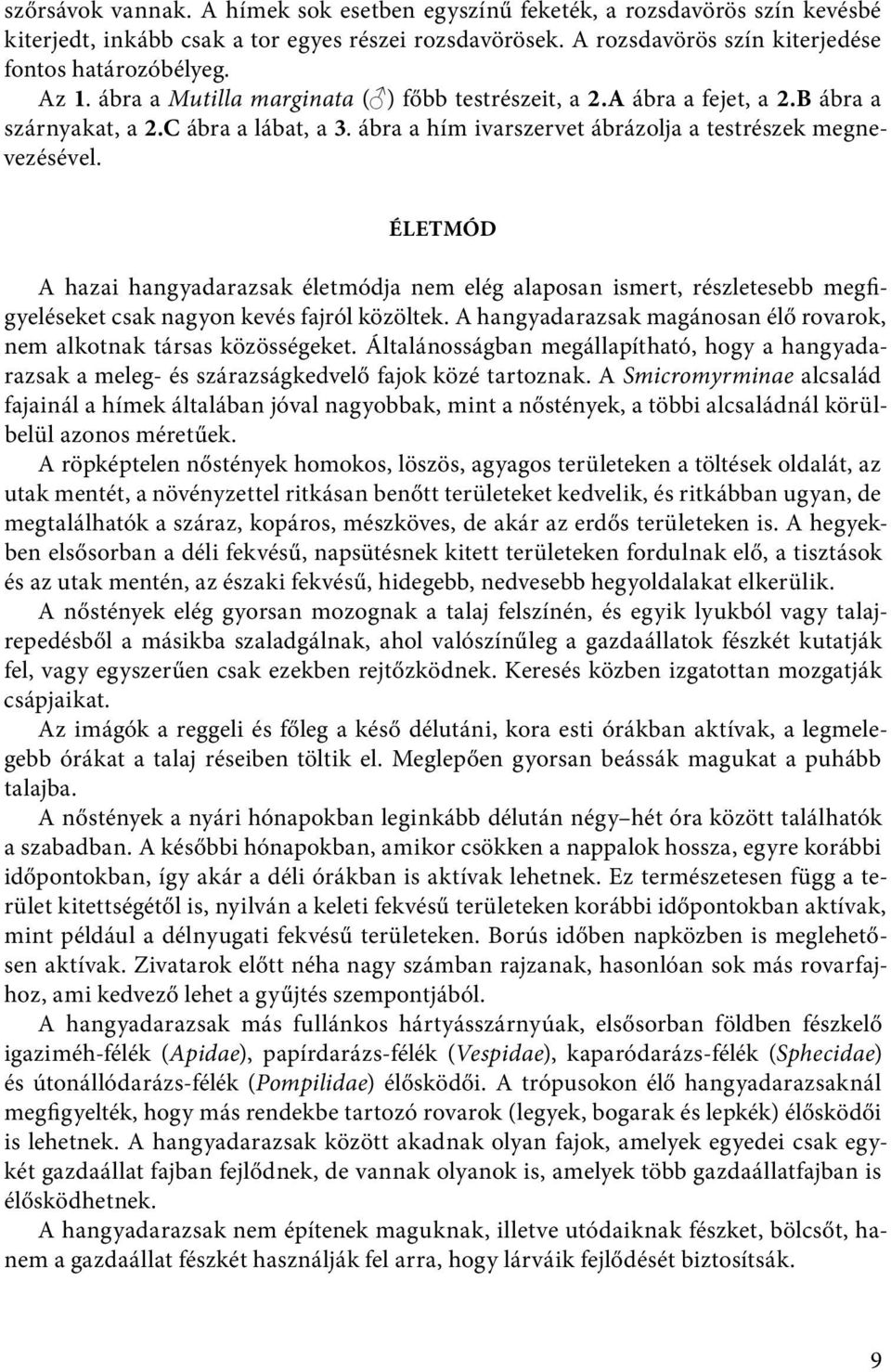 ÉLETMÓD A hazai hangyadarazsak életmódja nem elég alaposan ismert, részletesebb megfigyeléseket csak nagyon kevés fajról közöltek.