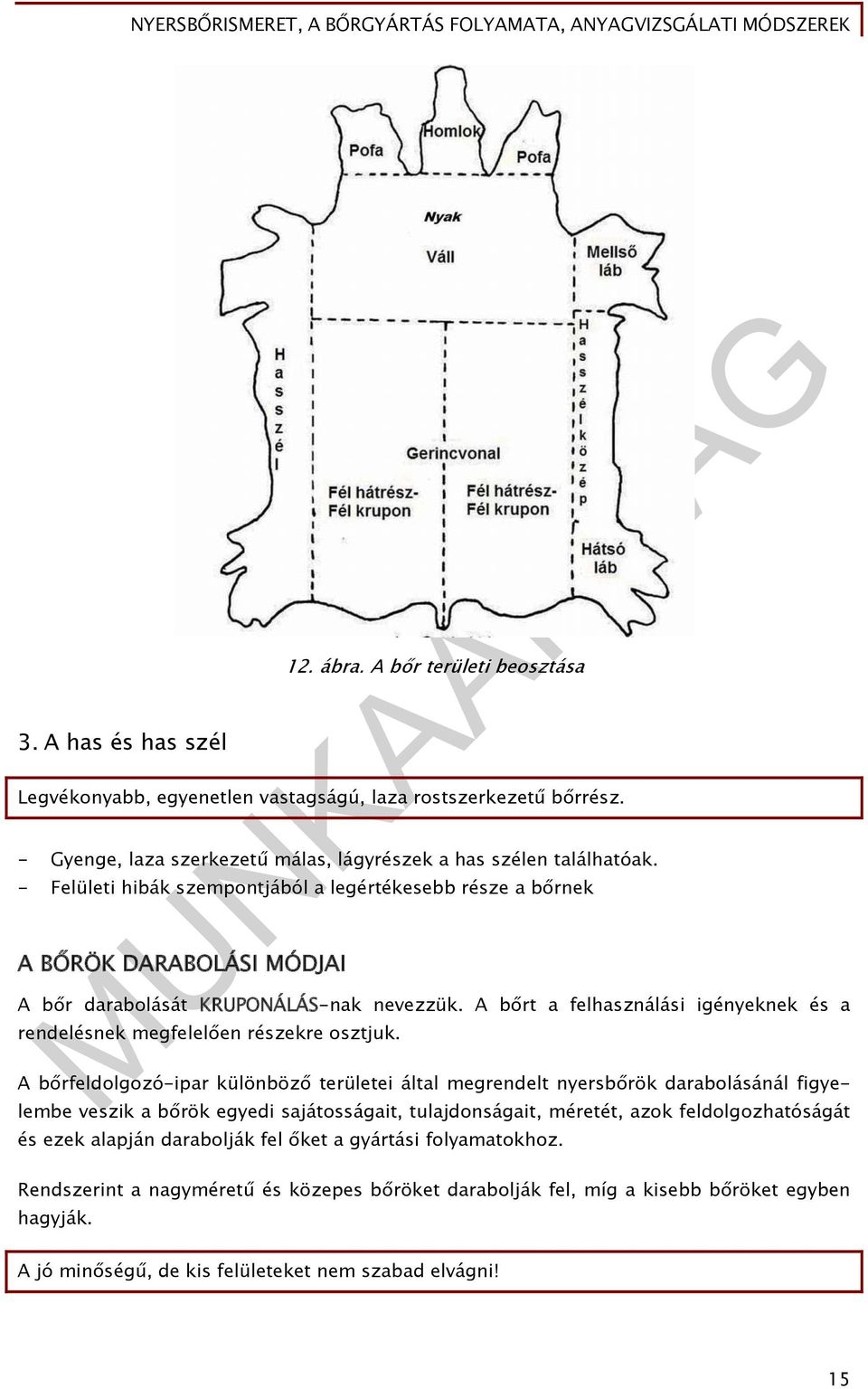 A bőrt a felhasználási igényeknek és a rendelésnek megfelelően részekre osztjuk.