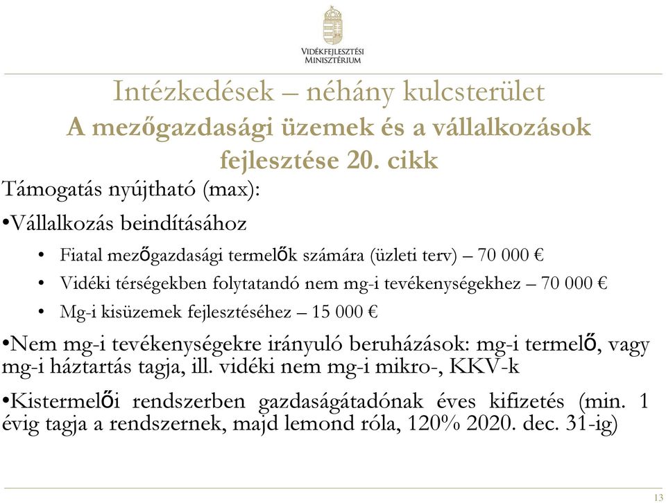 folytatandó nem mg-i tevékenységekhez 70 000 Mg-i kisüzemek fejlesztéséhez 15 000 Nem mg-i tevékenységekre irányuló beruházások: mg-i