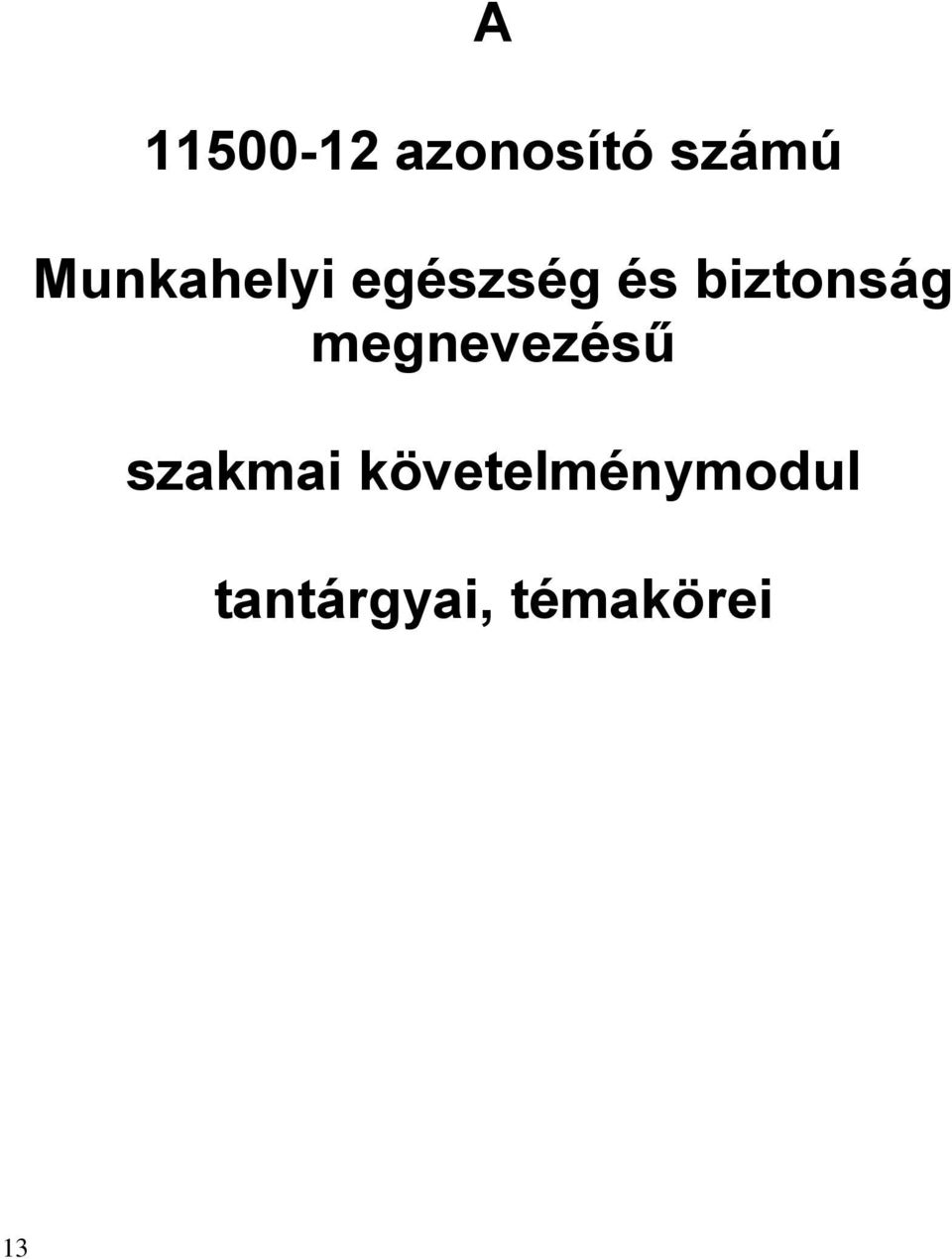 biztonság megnevezésű szakmai