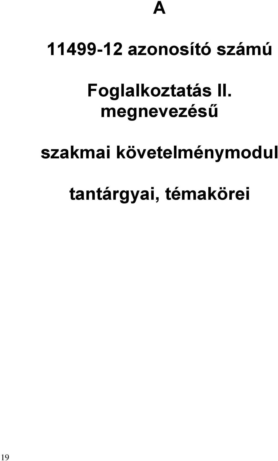 megnevezésű szakmai