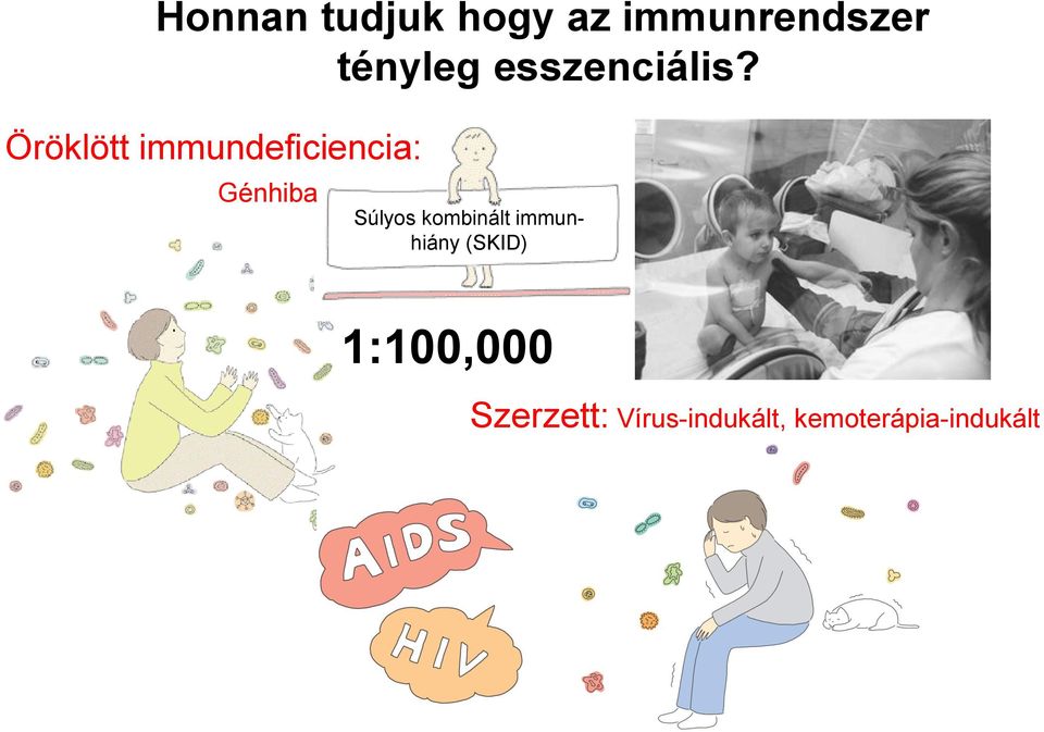 Öröklött immundeficiencia: Génhiba Súlyos