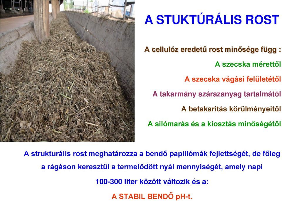 kiosztás minőségétől A strukturális rost meghatározza a bendő papillómák fejlettségét, de főleg a