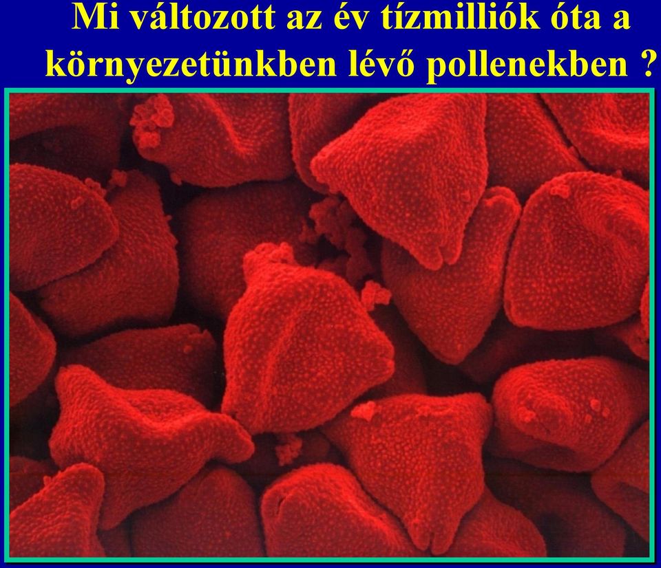 a környezetünkben