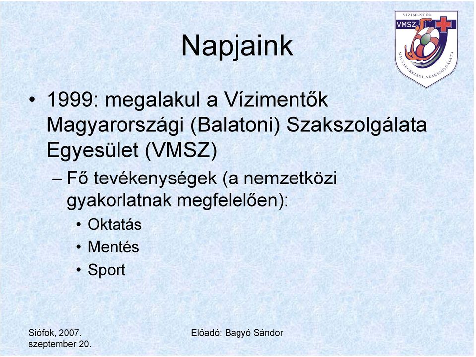 Egyesület (VMSZ) Fő tevékenységek (a
