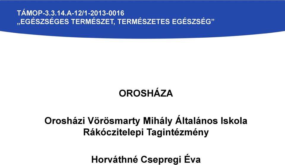 Általános Iskola