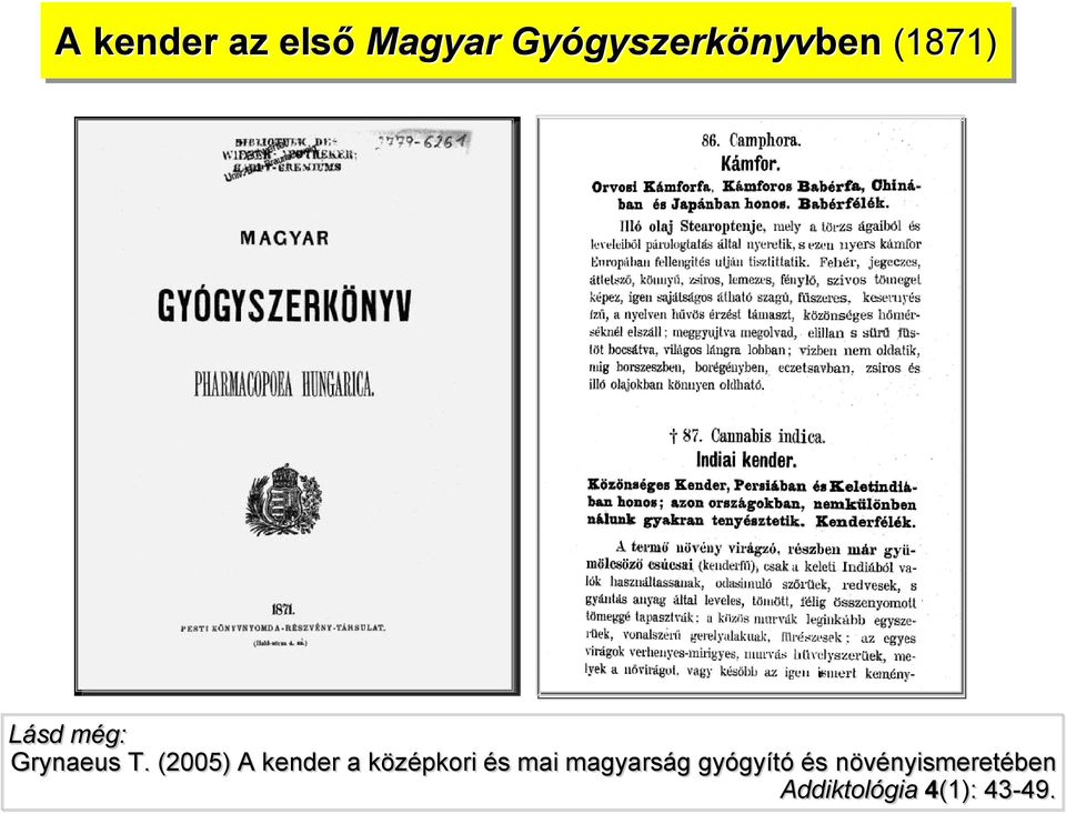 (2005) A kender a középkori és mai magyarság