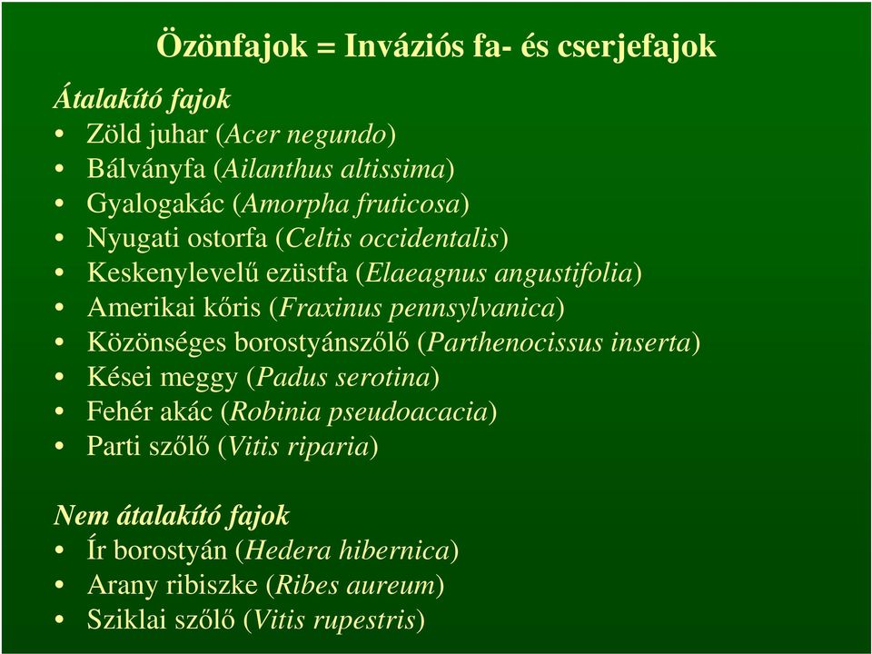 pennsylvanica) Közönséges borostyánszőlő (Parthenocissus inserta) Kései meggy (Padus serotina) Fehér akác (Robinia pseudoacacia)