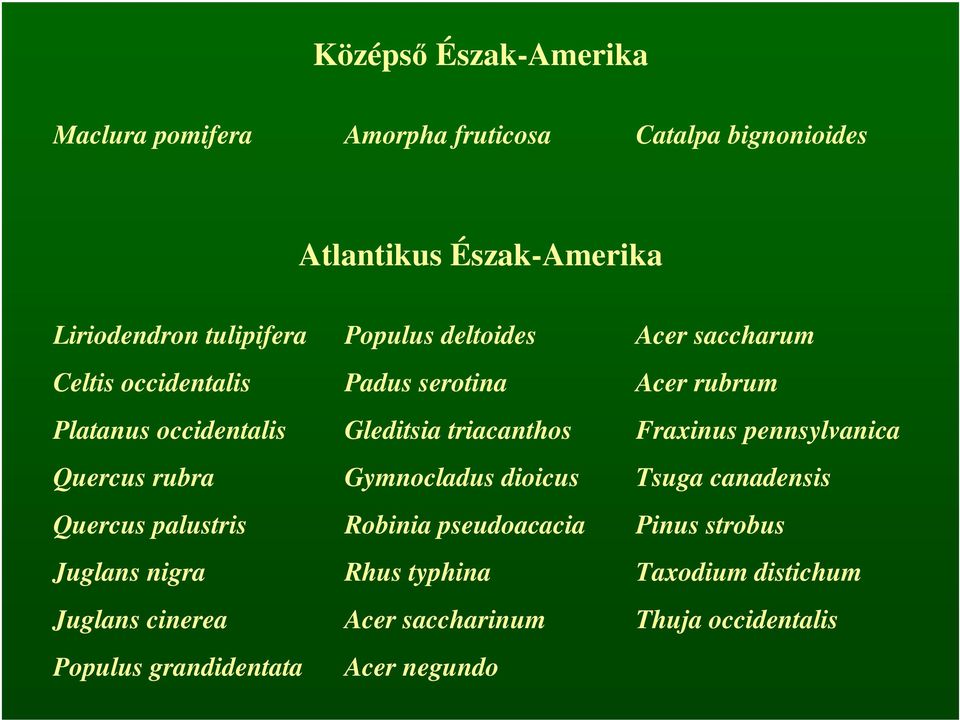 Populus deltoides Padus serotina Gleditsia triacanthos Gymnocladus dioicus Robinia pseudoacacia Rhus typhina Acer saccharinum