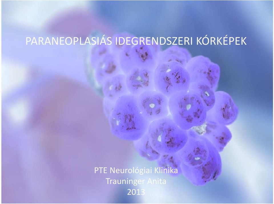 KÓRKÉPEK PTE