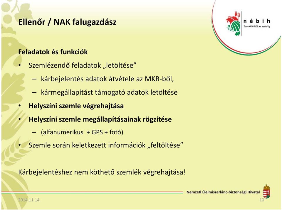 végrehajtása Helyszíni szemle megállapításainak rögzítése (alfanumerikus + GPS + fotó) Szemle