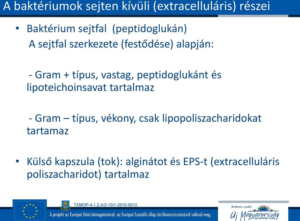 peptidoglukánt és lipoteichoinsavat tartalmaz - Gram típus, vékony, csak