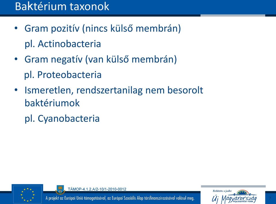 Actinobacteria Gram negatív (van külső 