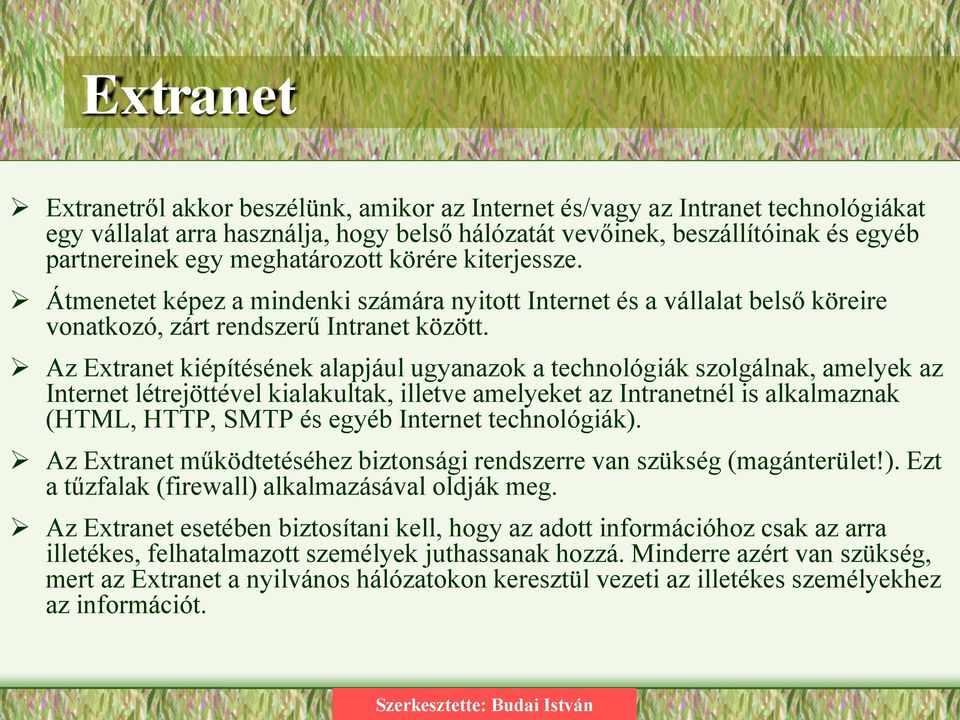 Az Extranet kiépítésének alapjául ugyanazok a technológiák szolgálnak, amelyek az Internet létrejöttével kialakultak, illetve amelyeket az Intranetnél is alkalmaznak (HTML, HTTP, SMTP és egyéb