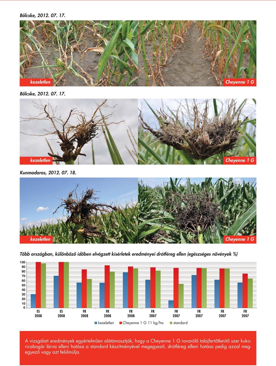 60 50 40 30 20 10 0 ES ES kezeletlen Cheyenne 1 G 11 kg/ha standard A vizsgálati eredmények egyértelmûen alátámasztják, hogy a Cheyenne 1 G