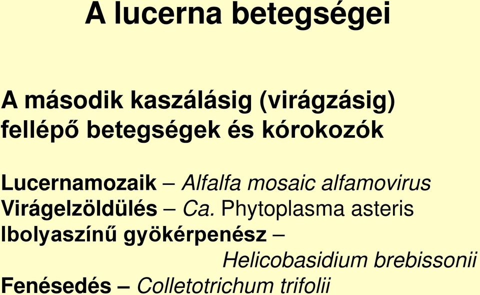 alfamovirus Virágelzöldülés Ca.