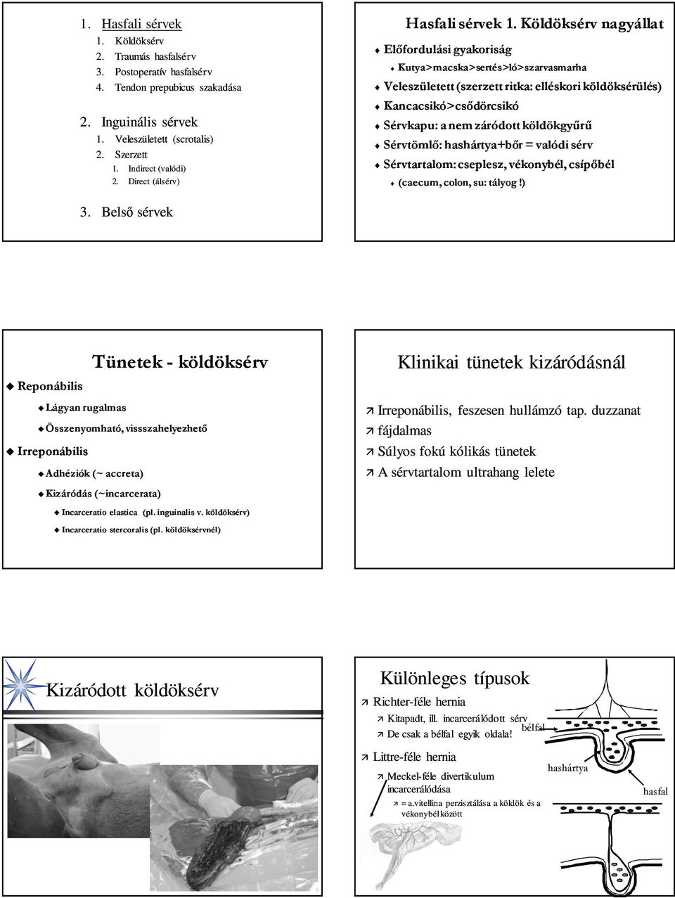 Sérvkapu: a nem záródott köldökgyűrű Sérvtömlő: hashártya+bőr = valódi sérv Sérvtartalom: cseplesz, vékonybél, csípőbél (caecum, colon, su: tályog!