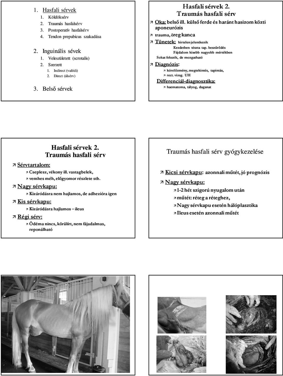 UH Differenciál-diagnosztika: haematoma, tályog, daganat Sérvtartalom: Cseplesz, vékony ill. vastagbelek, vemhes méh, előgyomor részlete stb.