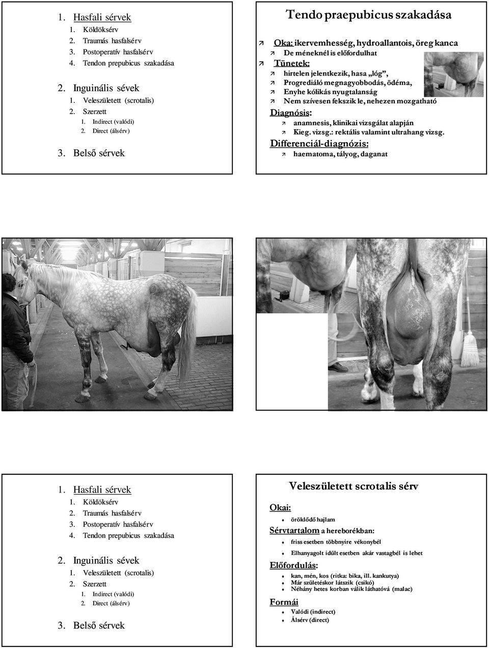 Enyhe kólikás nyugtalanság Nem szívesen fekszik le, nehezen mozgatható Diagnósis: anamnesis, klinikai