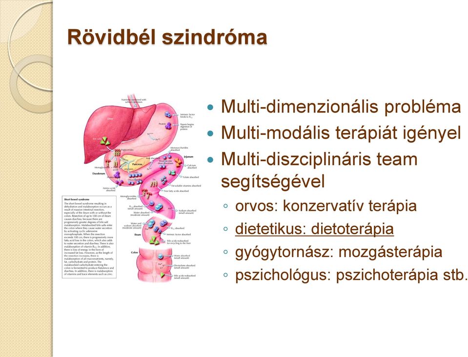 segítségével orvos: konzervatív terápia dietetikus: