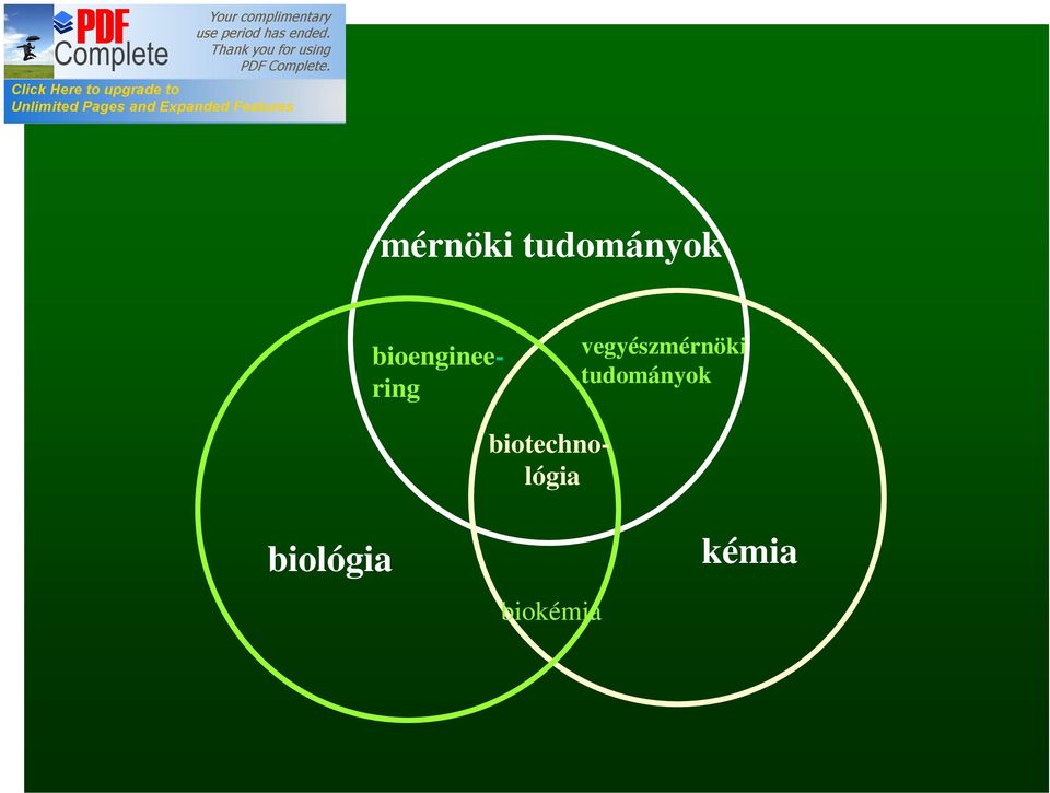 bioengineering vegyész