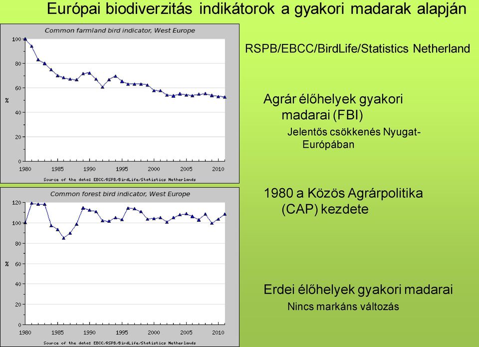 madarai (FBI) Jelentős csökkenés Nyugat- Európában 1980 a Közös