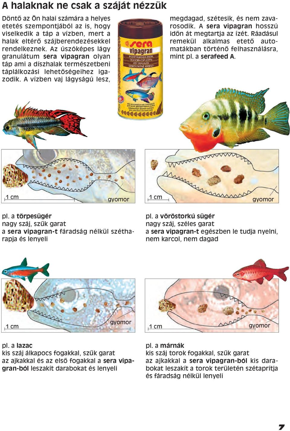 A sera vipagran hosszú idœn át megtartja az ízét. Ráadásul remekül alkalmas etetœ automatákban történœ felhasználásra, mint pl. a serafeed A. 1 cm gyomor 1 cm gyomor pl.