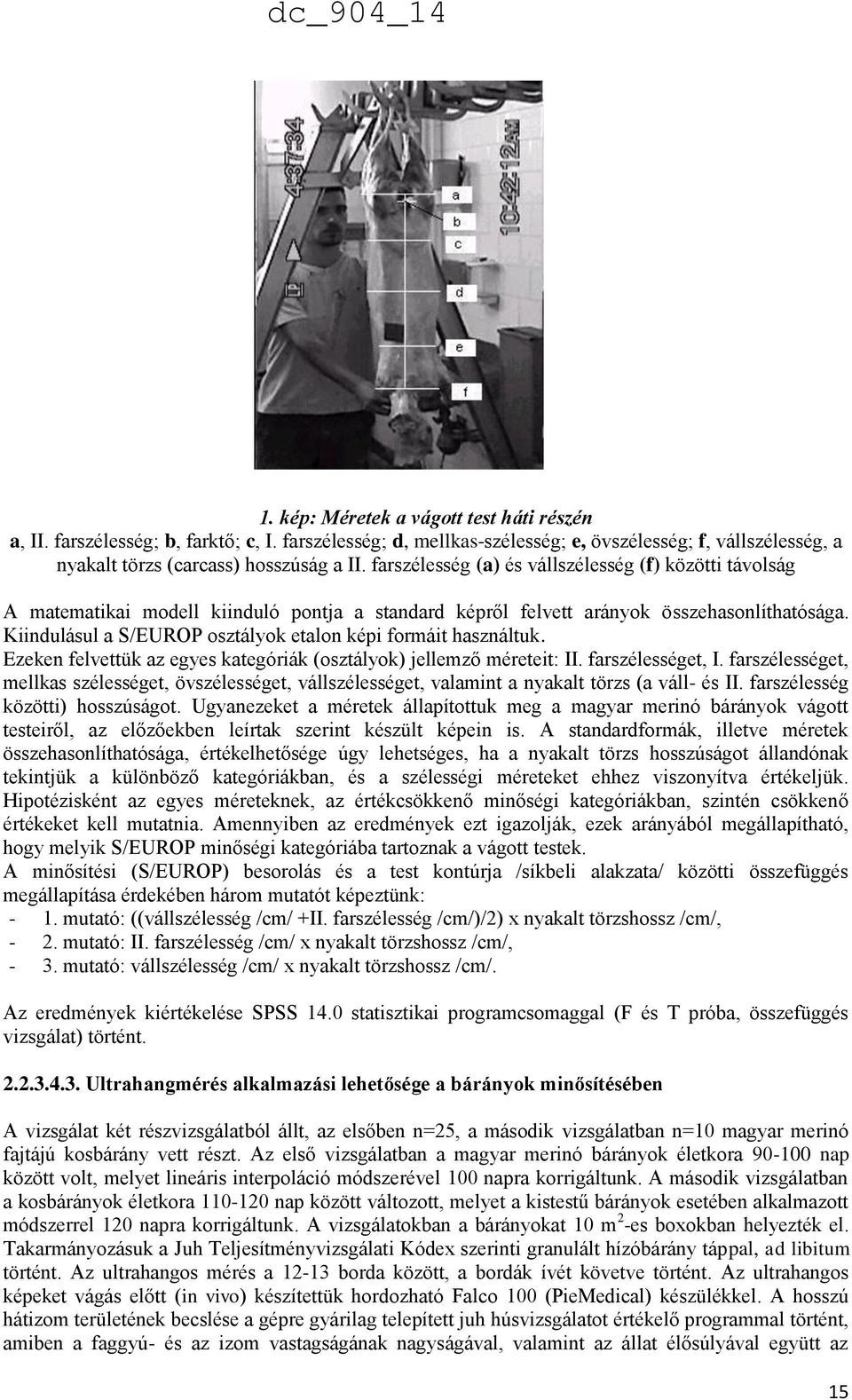 Kiindulásul a S/EUROP osztályok etalon képi formáit használtuk. Ezeken felvettük az egyes kategóriák (osztályok) jellemző méreteit: II. farszélességet, I.