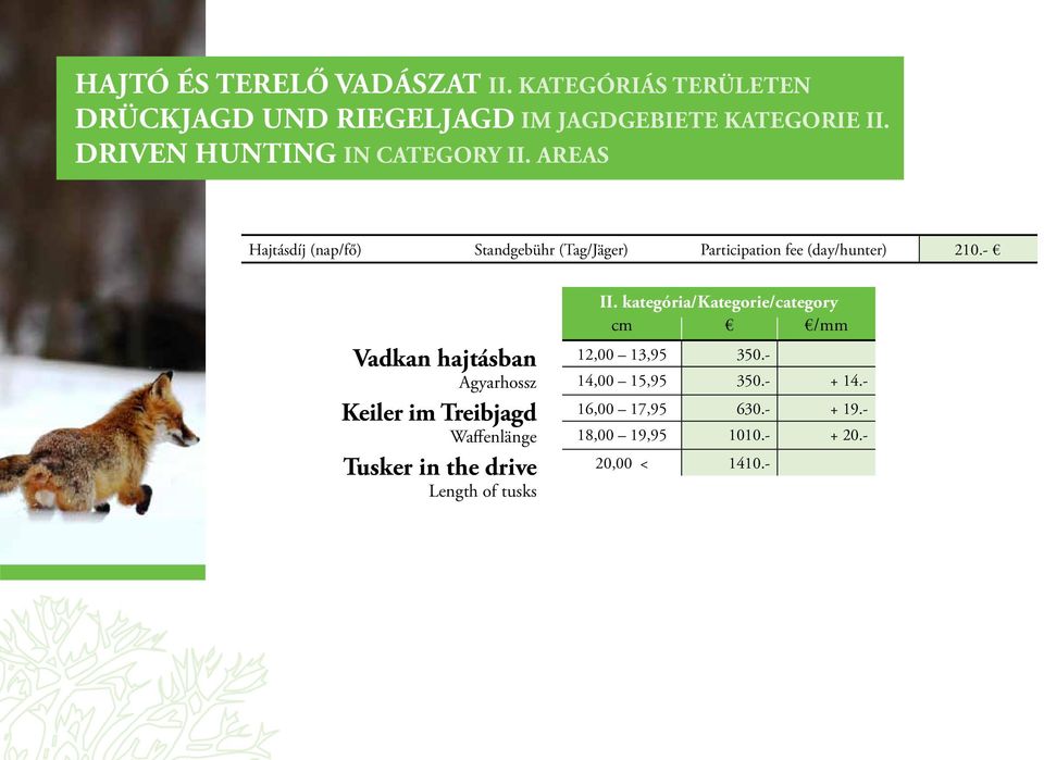 - Vadkan hajtásban Agyarhossz Keiler im Treibjagd Waffenlänge Tusker in the drive Length of tusks II.