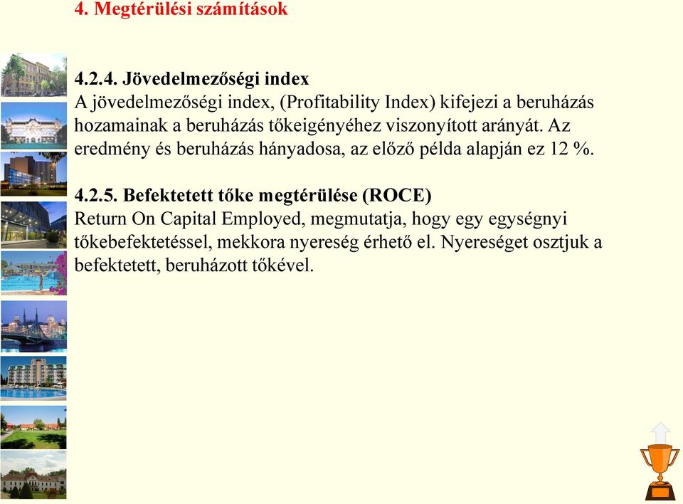 Az eredmény és beruházás hányadosa, az előző példa alapján ez 12 %. 4.2.5.