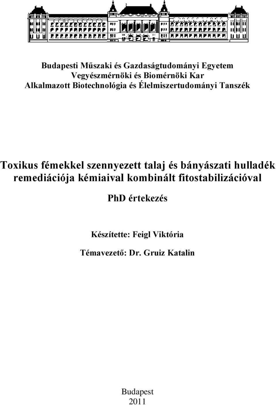 szennyezett talaj és bányászati hulladék remediációja kémiaival kombinált
