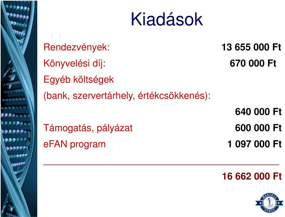 szervertárhely, értékcsökkenés): 640 000 Ft