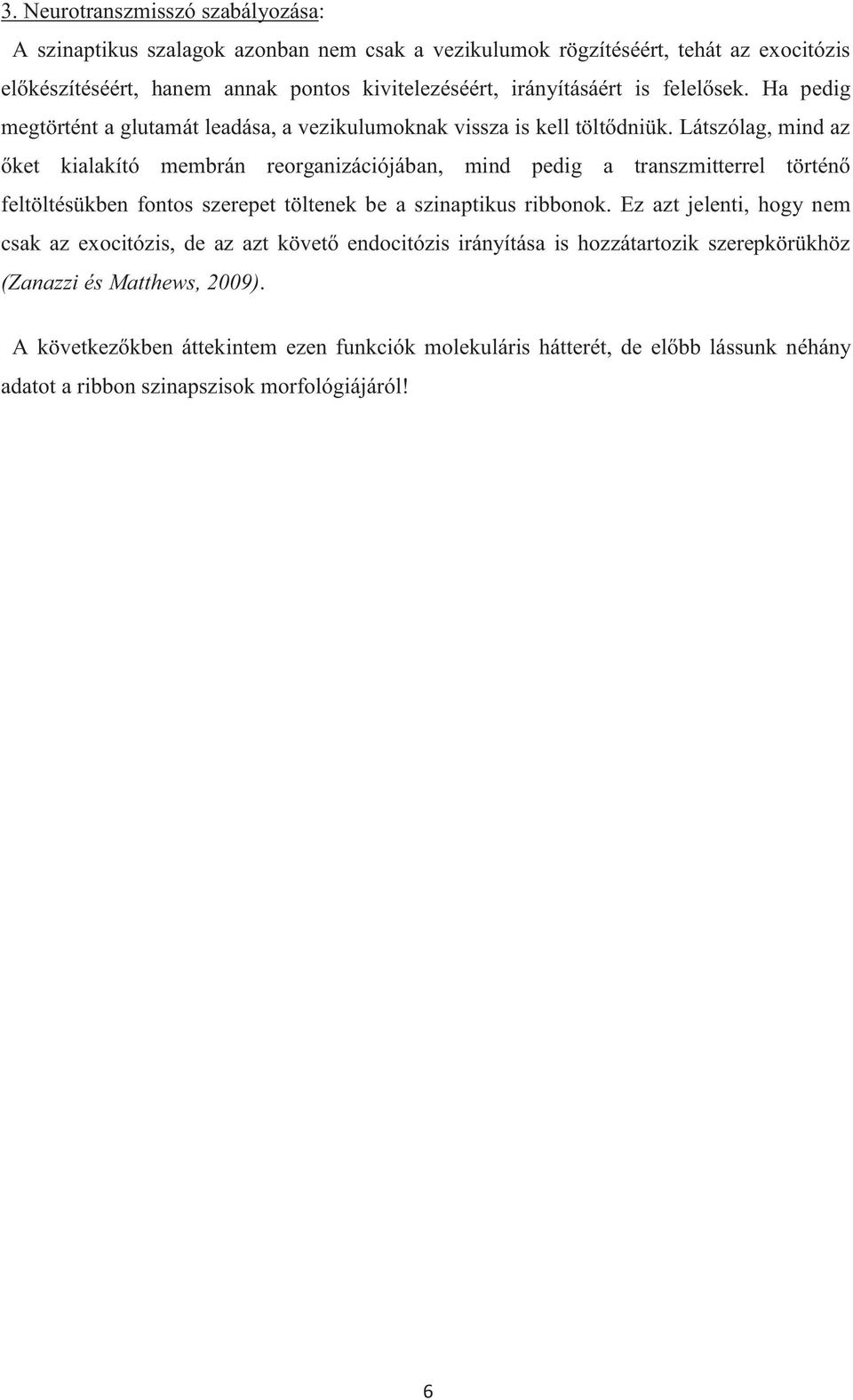 Látszólag, mind az őket kialakító membrán reorganizációjában, mind pedig a transzmitterrel történő feltöltésükben fontos szerepet töltenek be a szinaptikus ribbonok.