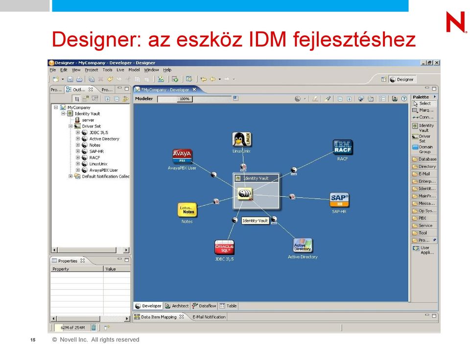 IDM
