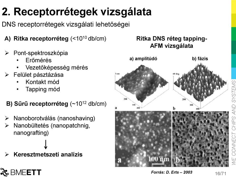 DNS réteg tapping- AFM vizsgálata a) amplitúdó b) fázis B) Sűrű receptorréteg (~10 12 db/cm)
