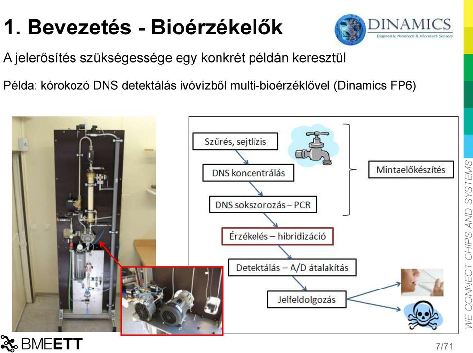 keresztül Példa: kórokozó DNS detektálás