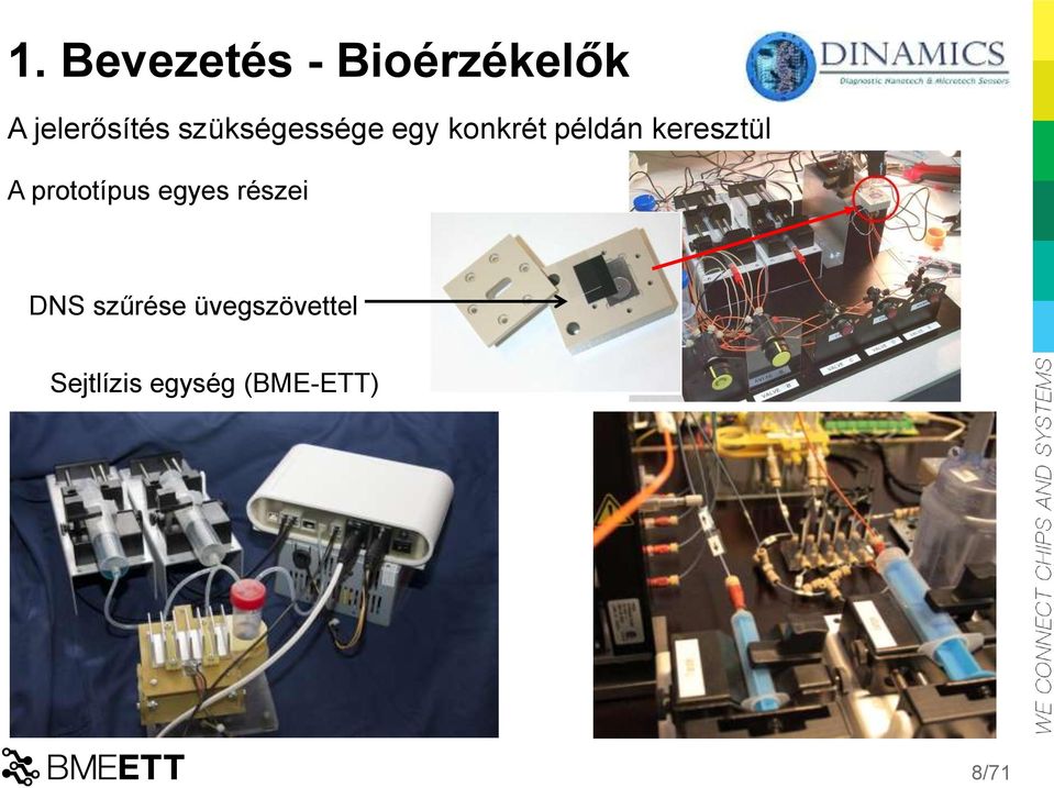 A prototípus egyes részei DNS szűrése