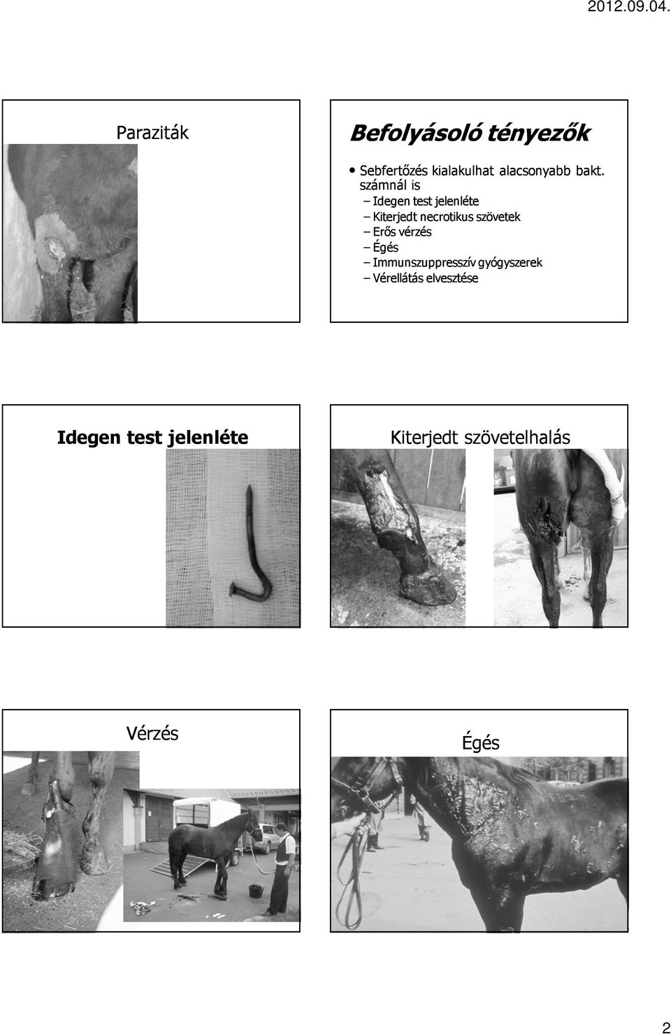 számnál is Idegen test jelenléte Kiterjedt necrotikus szövetek