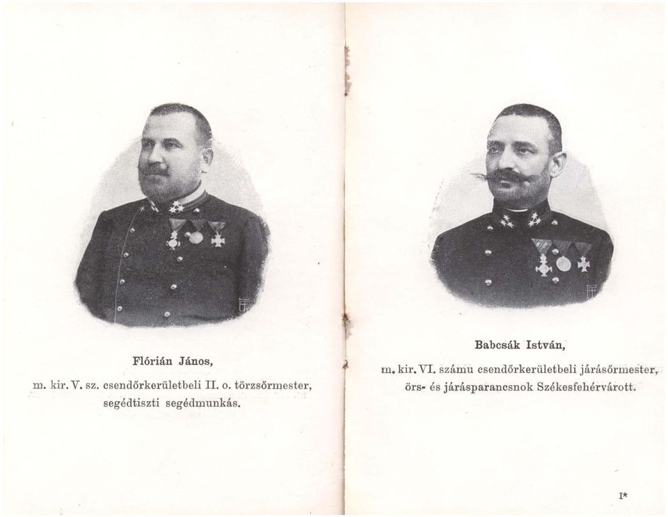 Babcsák István, m. kir. VI.