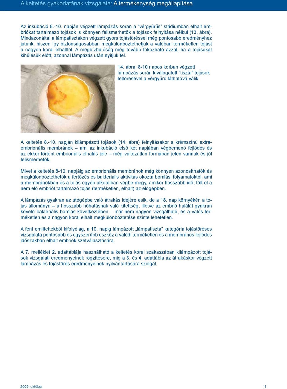 az ürömféreg tojások fejlődési szakaszai