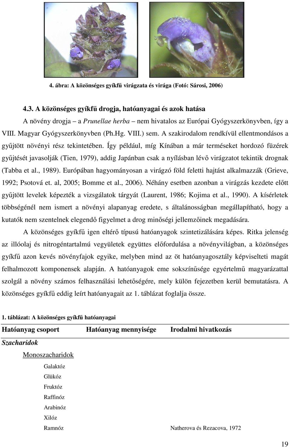 A szakirodalom rendkívül ellentmondásos a győjtött növényi rész tekintetében.